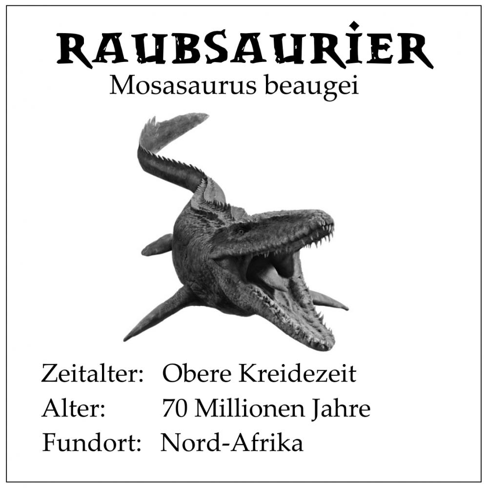 Echter Mosasaurier Zahn in sehr guter Erhaltung.
